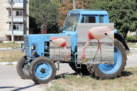 A blue dventurous flamingo tractor